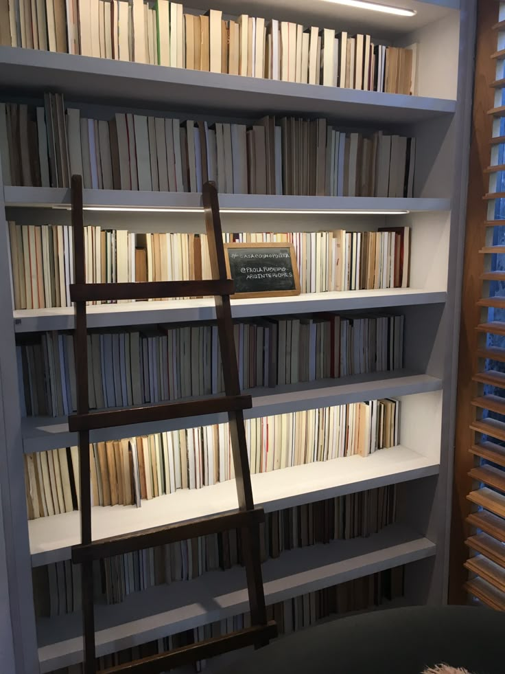 a ladder leaning against a bookshelf full of books