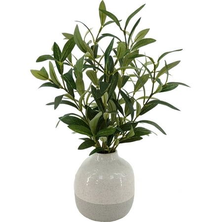 a plant in a white vase with green leaves on the top and bottom, against a white background