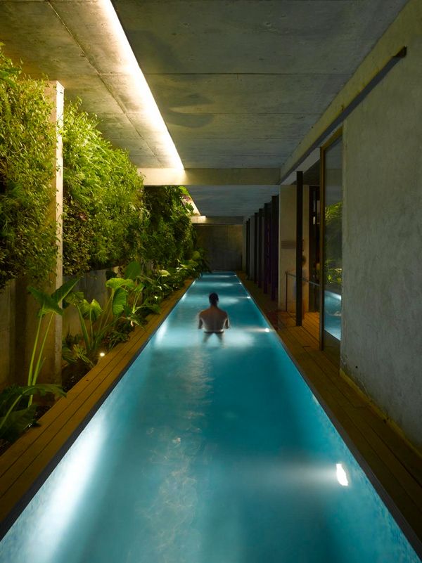 a person sitting in the middle of a swimming pool with plants growing on either side