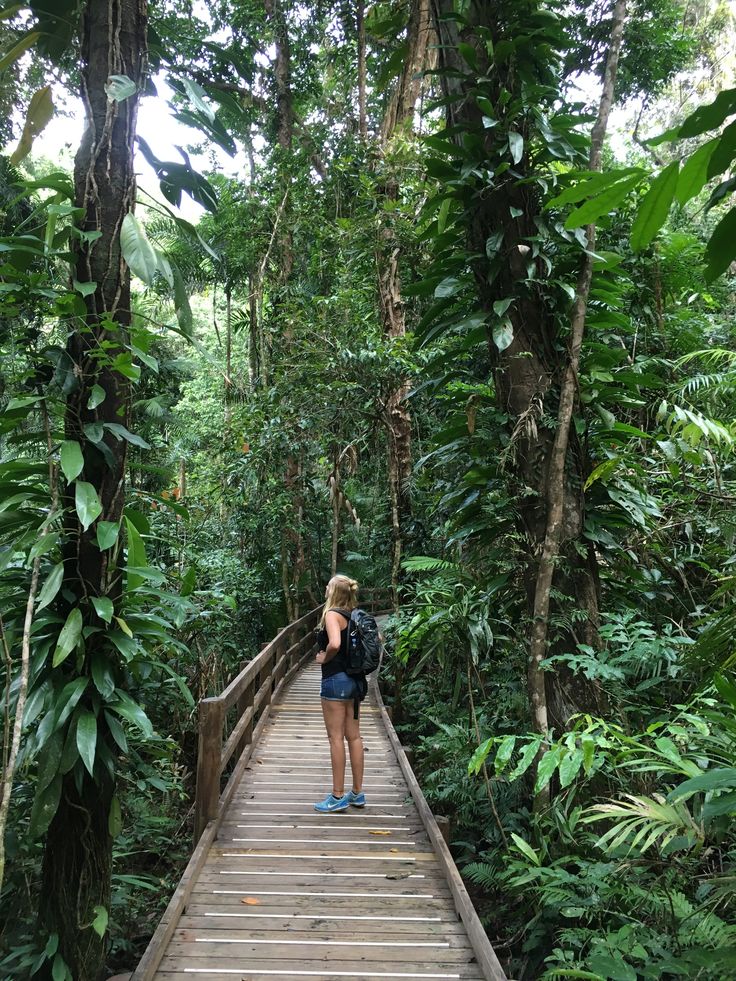 a woman standing on a wooden bridge in the jungle