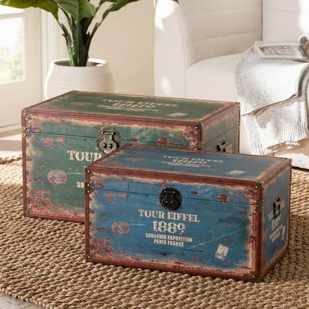 two suitcases sitting on top of a rug next to a potted plant in a living room