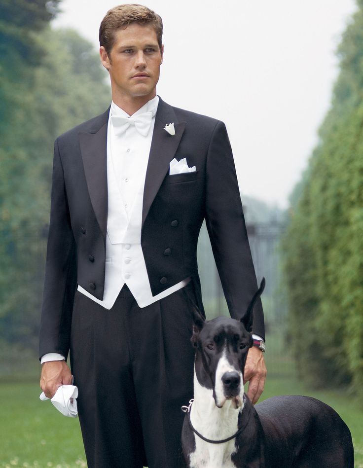 full tuxedo - Google Search Designer Tuxedo, Formal Attire For Men, Black Tuxedo Jacket, Vest And Bow Tie, White Tux, Tail Dress, Groom Tuxedo, Classy Men, Tuxedo Dress