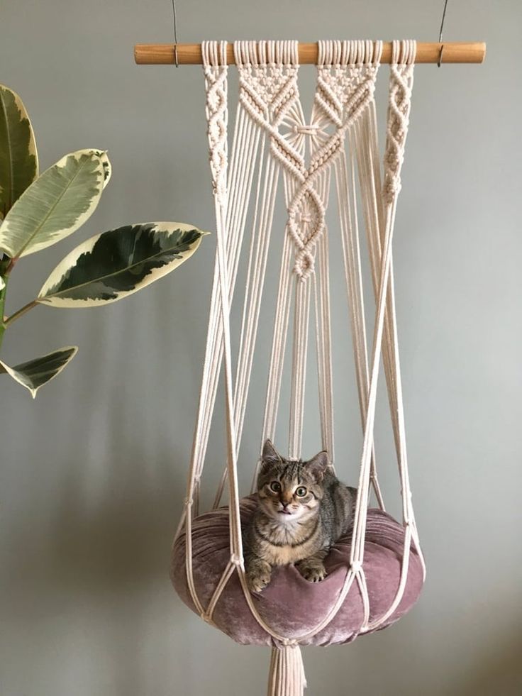 a cat laying in a hammock hanging from a plant