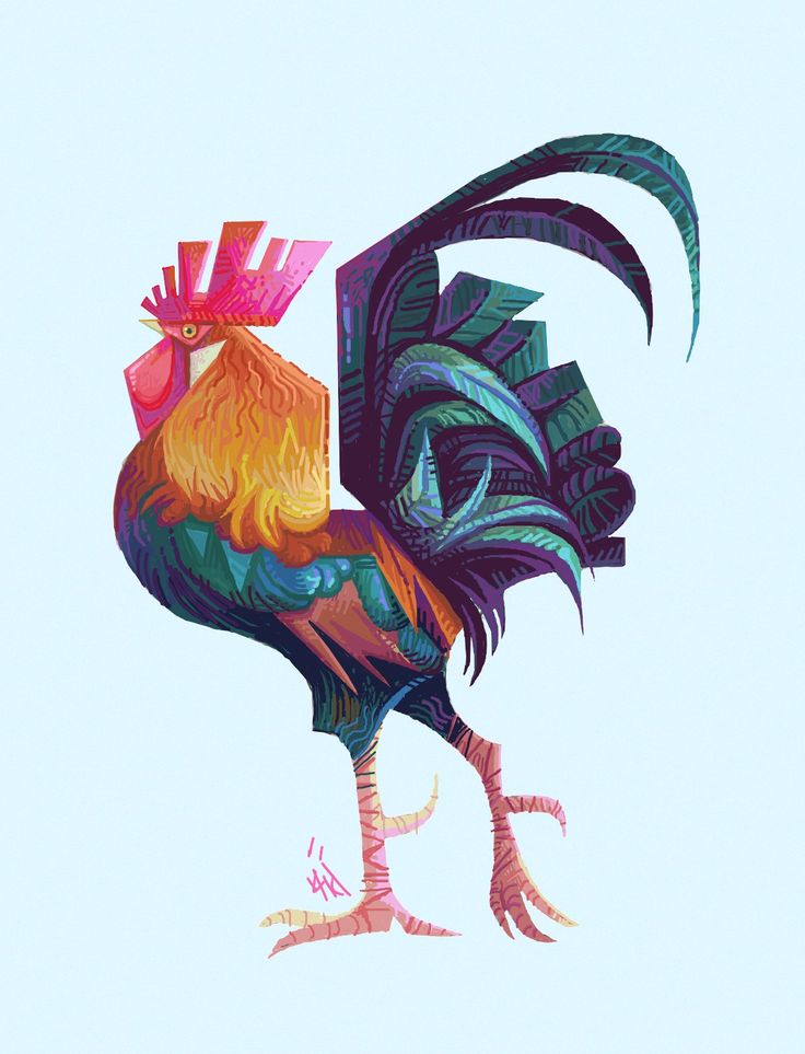 a colorful rooster standing on its hind legs