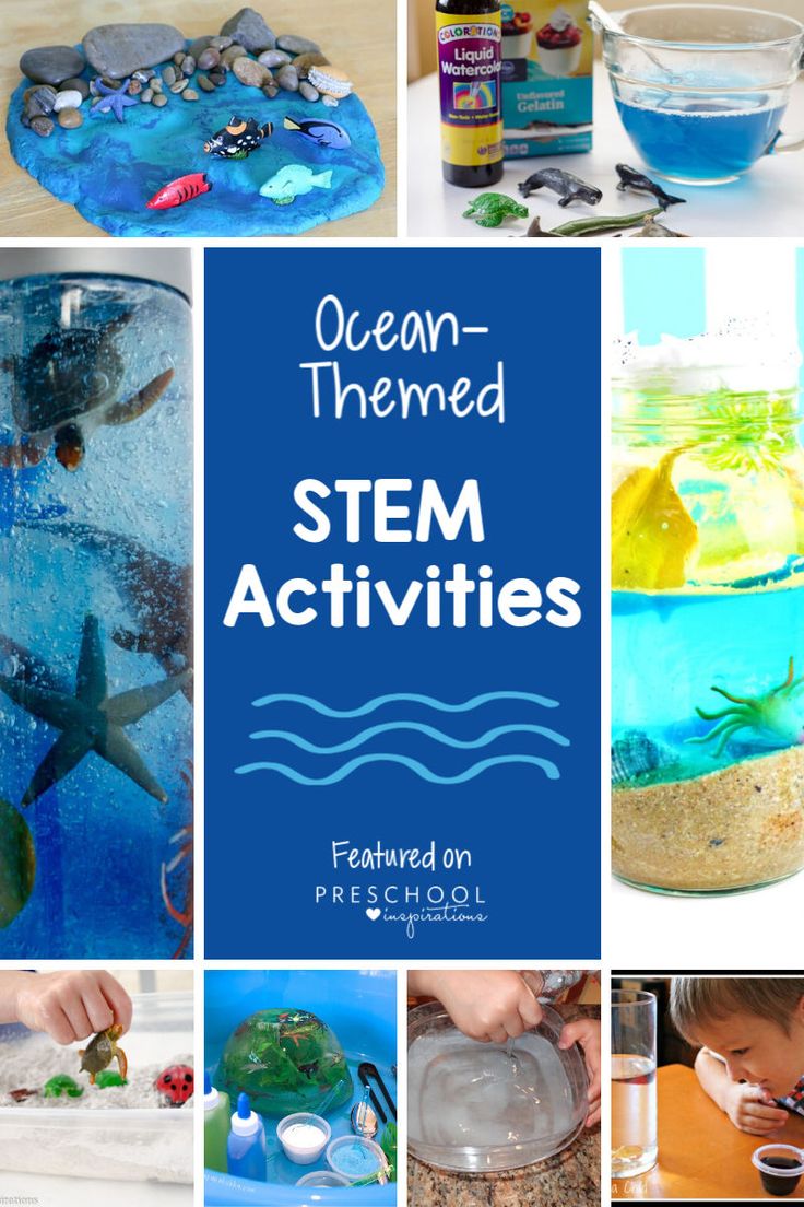 Preschool Ocean Theme Activities that Kids Love Steam Ocean Activities, Ocean Activity For Preschool, Ocean Animal Lessons For Preschool, Ocean Theme Preschool Dramatic Play, Under The Sea School Activities, Ocean Reading Activities, Ocean Exploration Preschool, Ocean Exploration Activities, Ocean Themed Activities For Preschoolers