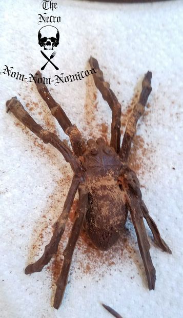 a brown spider sitting on top of a white towel