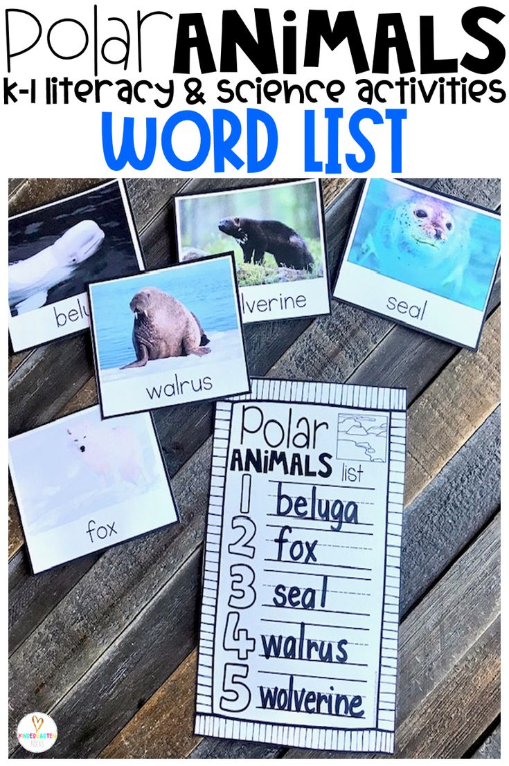 polar animals and science activities for the word list