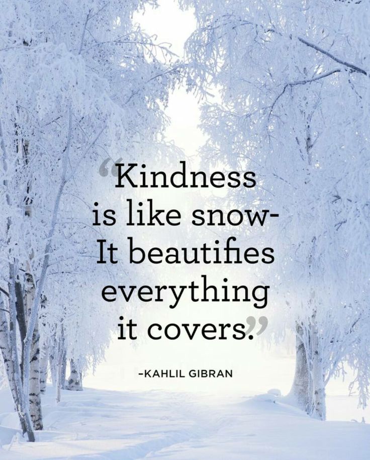 Pin by Jeni Hamilton on Quotes | Snow quotes, Winter quotes, Beautiful ...