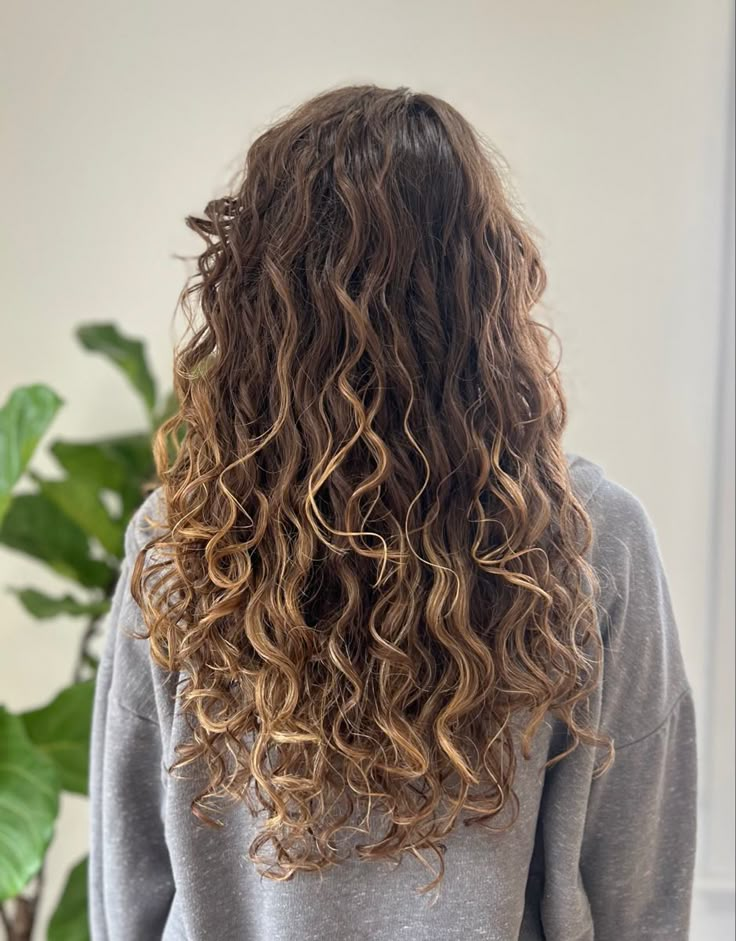 Highlights On Light Brown Hair Curly, 2b Hair Highlights, 2c Curly Hair Balayage, Brunette Balayage Hair Natural Curls, 2c Hair With Highlights, Wavy Hair Highlights Caramel, Natural Balayage Curly Hair, Wavy Hair Balayage Brunettes, Natural Curly Brunette Hair