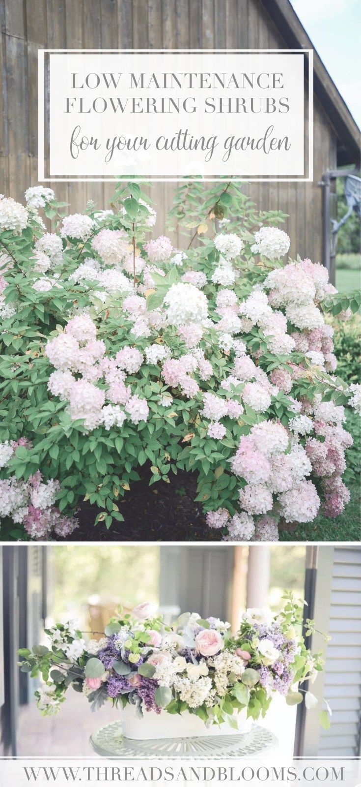 some flowers that are in a pot on the side of a building with text overlay