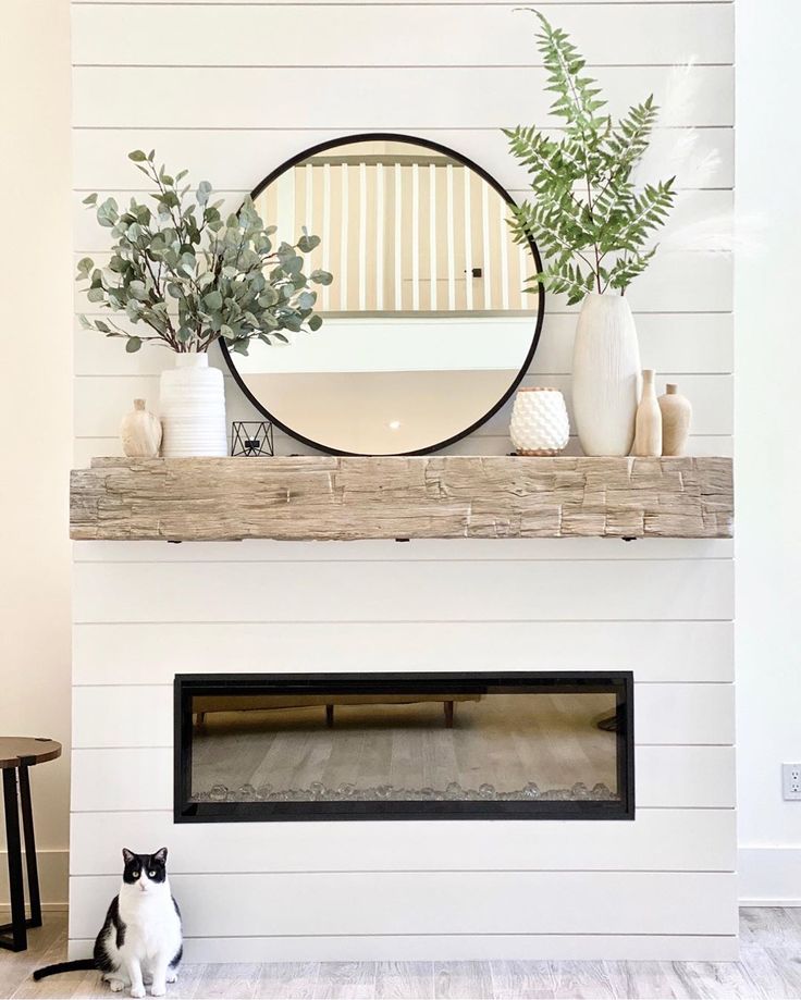 two cats sitting on the floor in front of a fireplace with a mirror above it