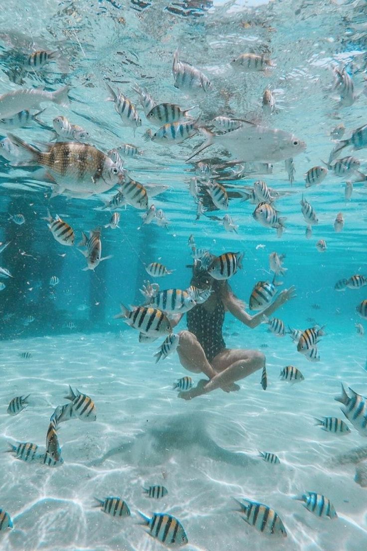 a woman swimming in the ocean surrounded by fish