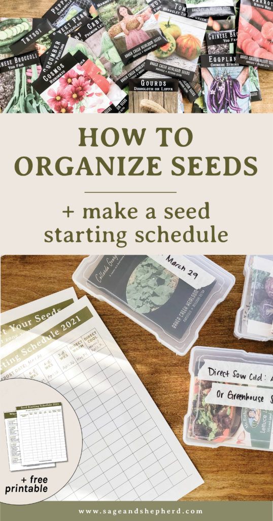 an image of how to organize seeds and make a seed starting schedule on a table