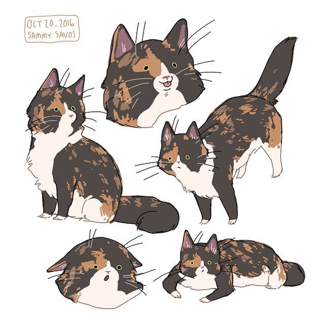 tumblr commission! #cat #cats #tortoiseshell #tortoiseshellcat #kitty #