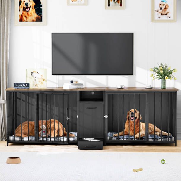 two dogs are sitting in their kennels and watching the tv on top of the entertainment center