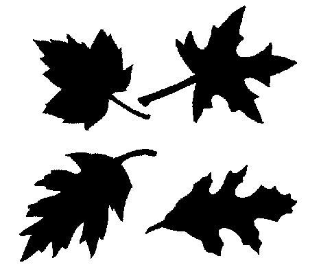 four black silhouettes of leaves on a white background