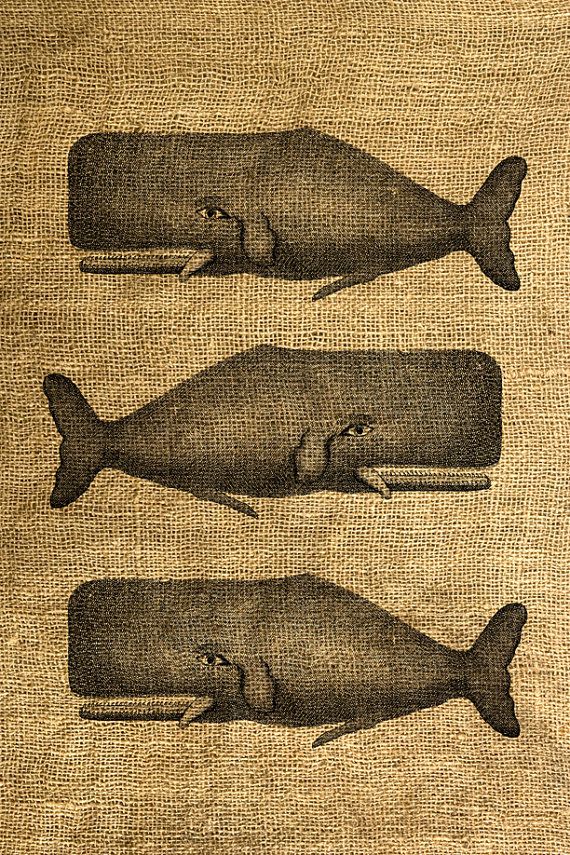 three whales are depicted on the burlocked fabric, one is black and white