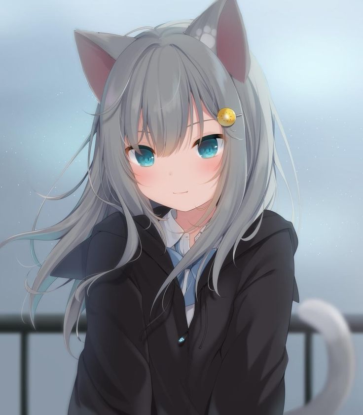 Anime Cat Ears, Cat Ears And Tail, Fox Girl, Anime Animals, Anime Cat, Animal Ears, Cute Animal Drawings, Gray Hair, Cat Girl