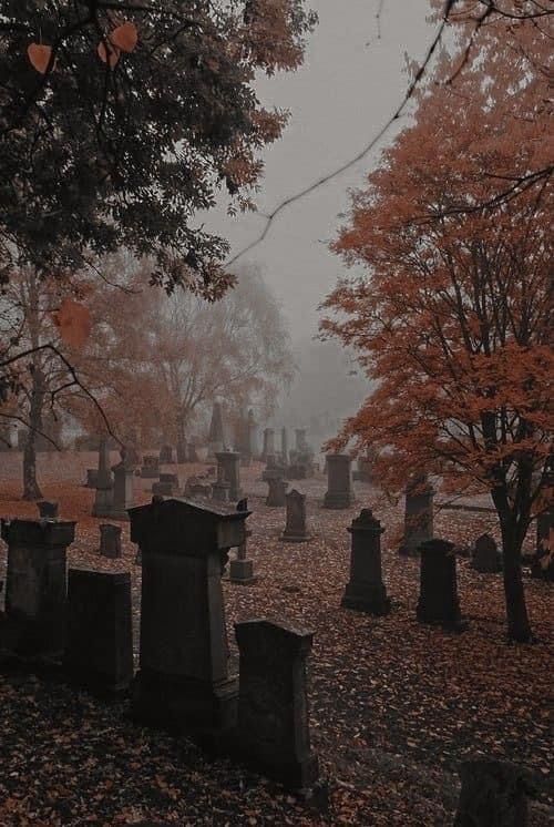 a cemetery in the fall with lots of leaves on the ground and trees all around