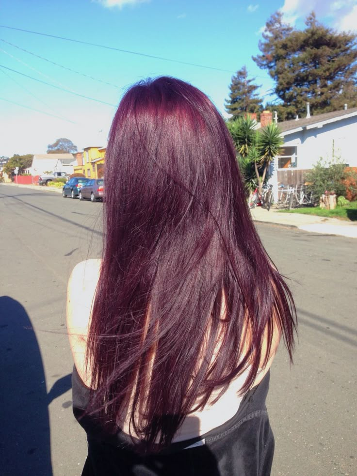 so hard to keep up with but so worth it! Hair Inspo Color Cool Tone, Plum Hair Aesthetic, Purple Maroon Hair, Colors To Dye Hair, Cherry Purple Hair, Purple Tinted Hair, Red Violet Hair Color, Purple Ombre Hair, Dark Purple Hair