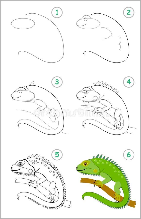 how to draw a chamelon on the branch with easy step by step instructions for children