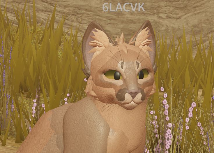 a cat sitting in the middle of some tall grass and flowers, with an inscription above it that reads glacvk