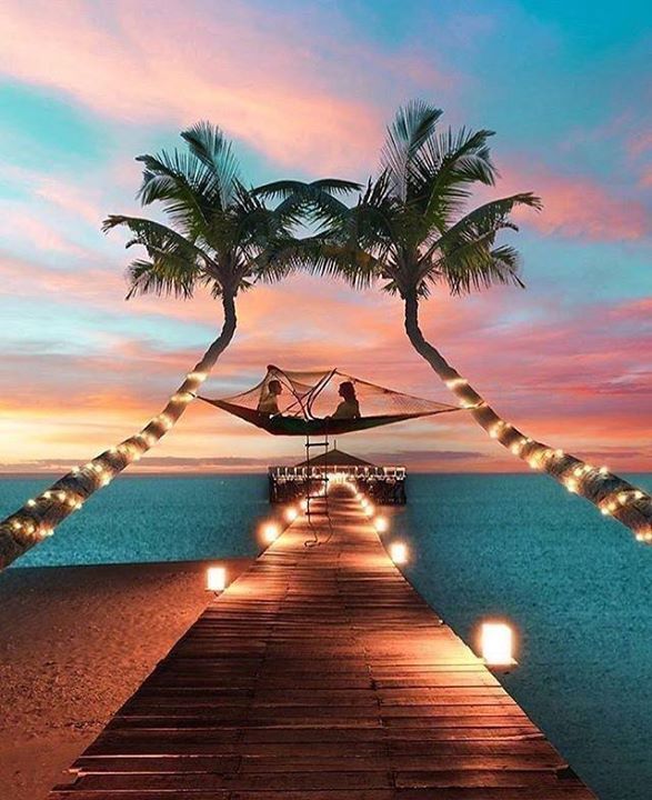 a wooden walkway leading to the beach with lights on it and palm trees in the foreground