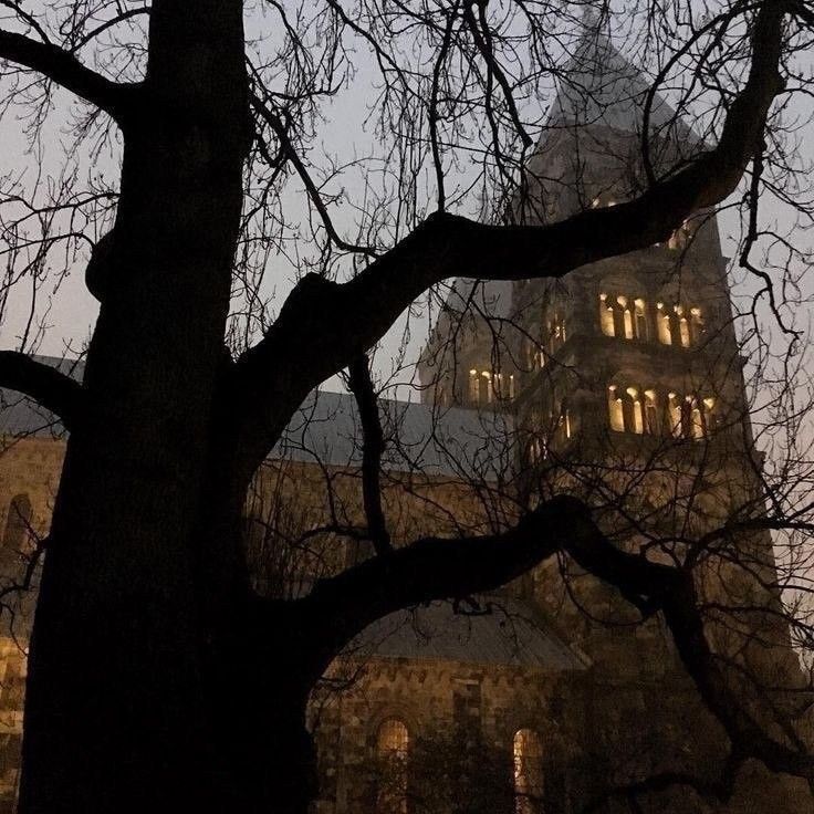 an old building is lit up at night with trees in the foreground and fog on the ground