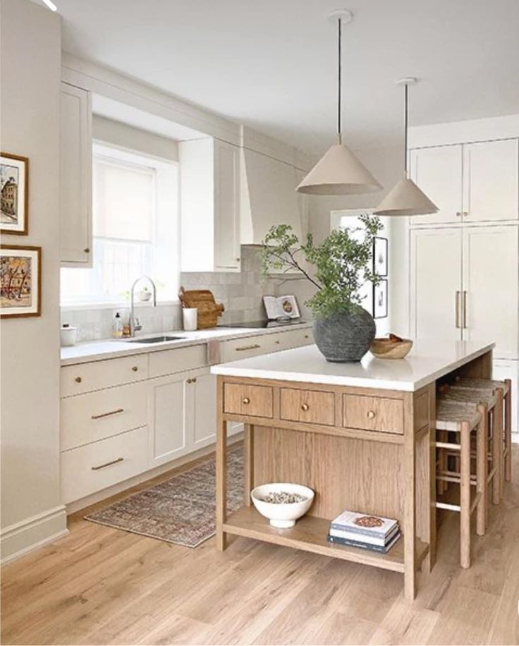 a kitchen with white cabinets and an island that has a potted plant on it