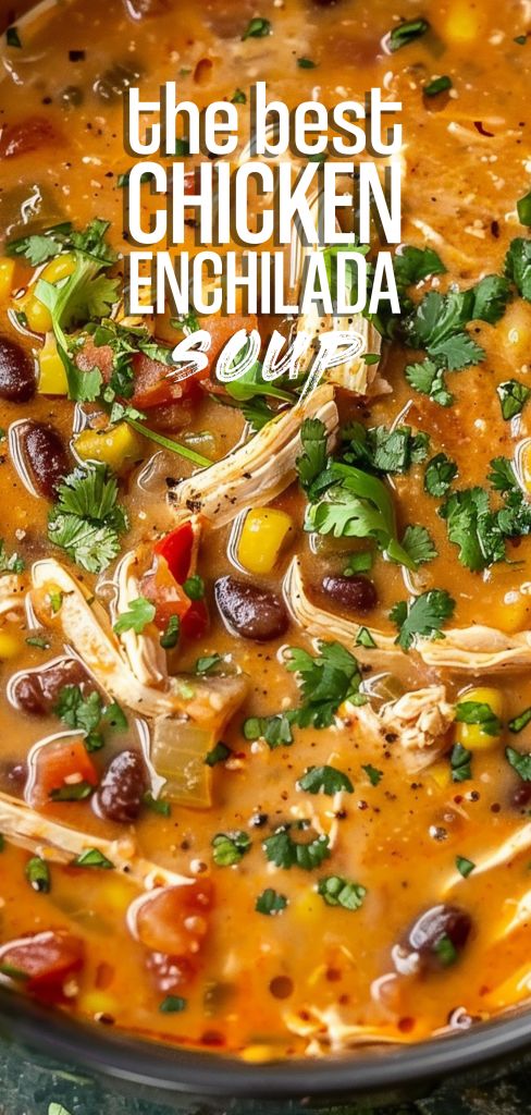 the best chicken enchilada soup in a bowl