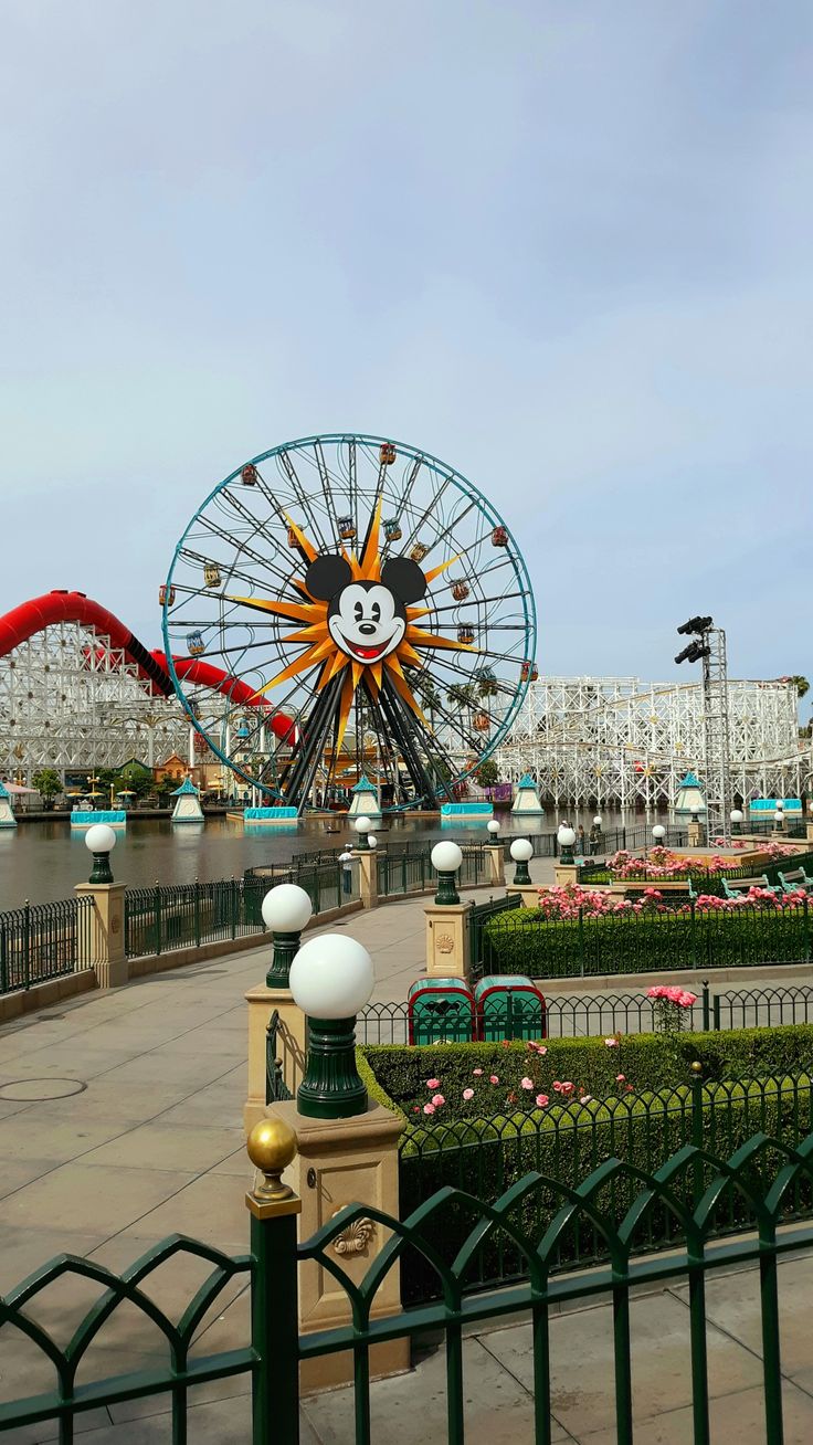 an amusement park with a ferris wheel and mickey mouse