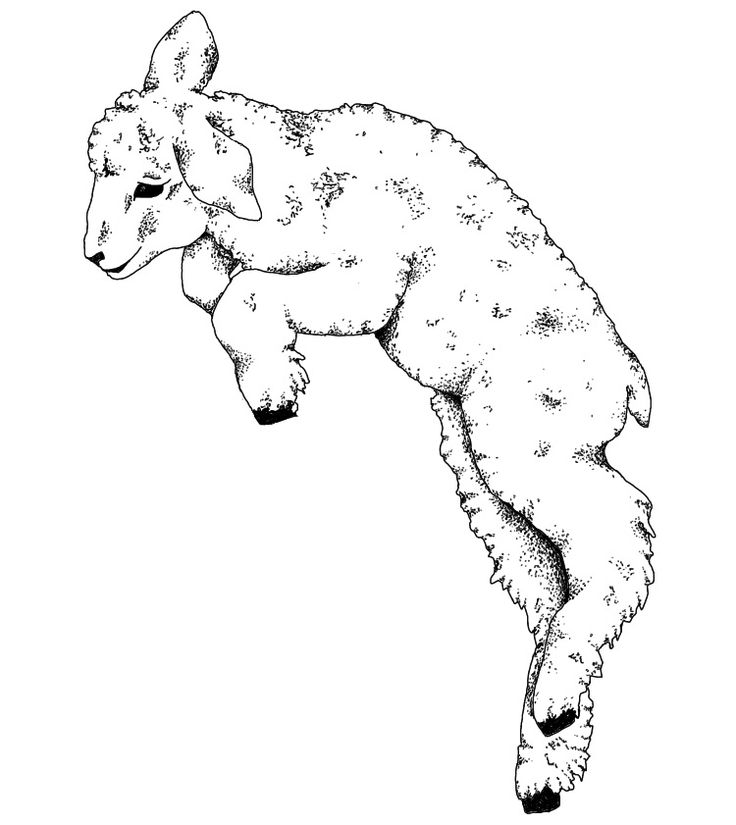 a black and white drawing of a sheep jumping in the air with it's legs spread out