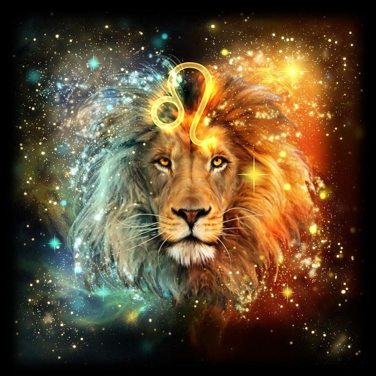 a lion's face is surrounded by stars