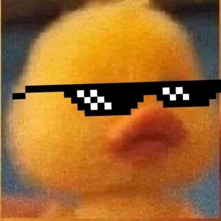 an image of a duck with sunglasses on it's face