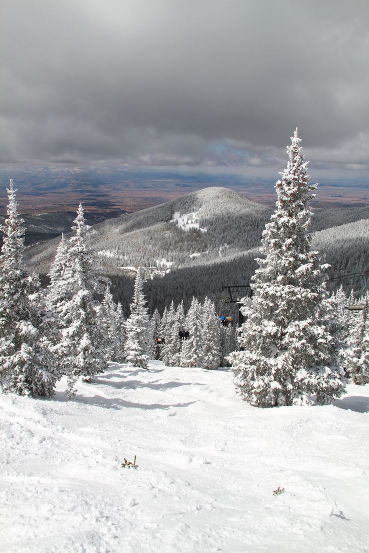 snow covered trees and mountains under a cloudy sky