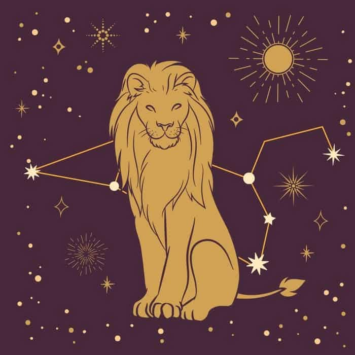 a lion sitting in front of the stars