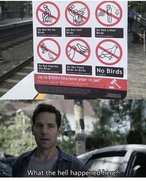 the signs are telling people what to do with their birds and not feeding them on the train tracks