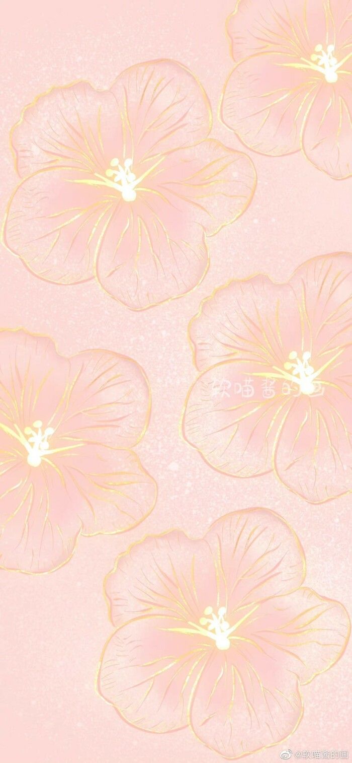 four pink flowers on a light pink background