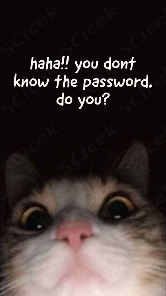 a close up of a cat's face with the caption haha you don't know the password, do you?