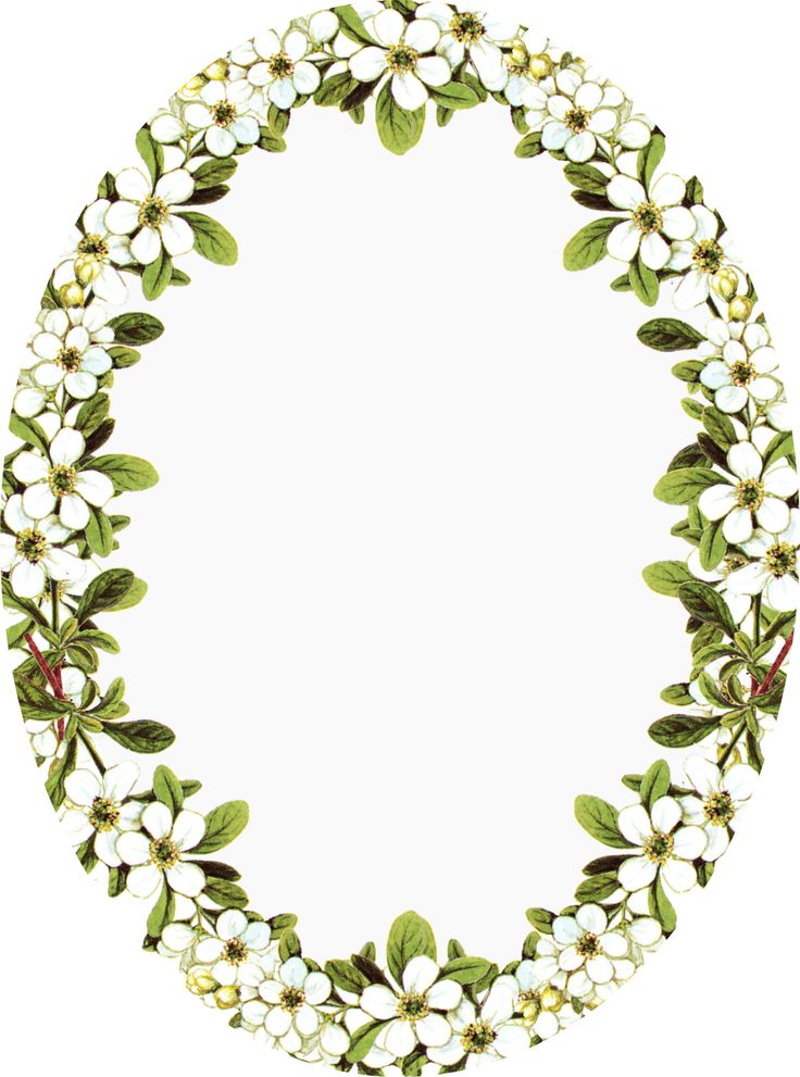 a circular frame with white flowers and green leaves on the edges, all around it