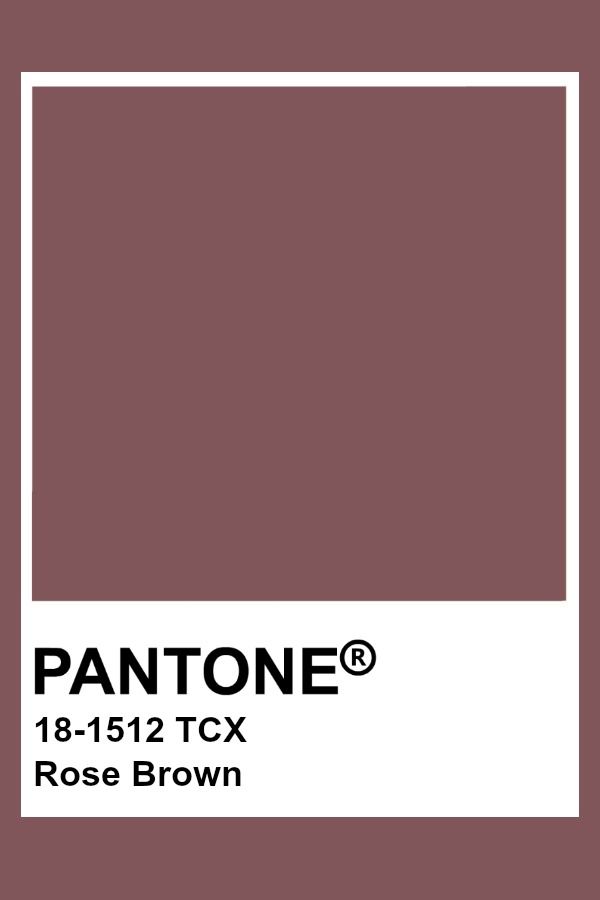 Pantone Cards, Brown Pantone, Color Uva, Pantone Tcx, Pantone Color Chart, Pantone Swatches, Color Knowledge, Pantone Colours, Pantone 2020