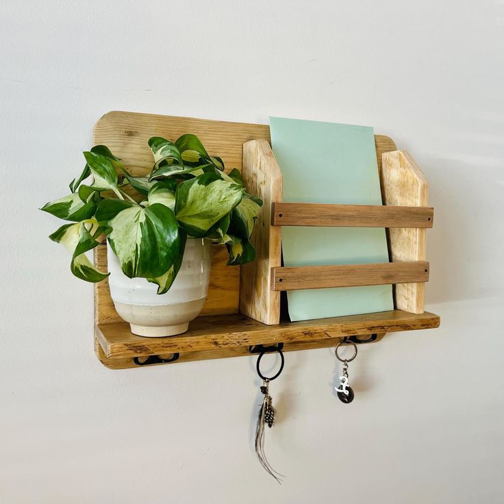 a potted plant is sitting on a wooden shelf with keys hanging from it's hooks