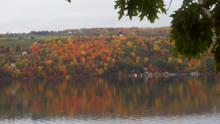 the trees are changing colors on the water's surface, and it looks like fall is coming