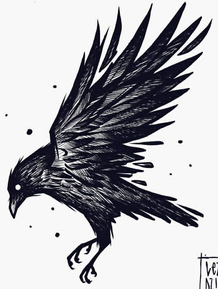 a black and white drawing of a bird with wings spread