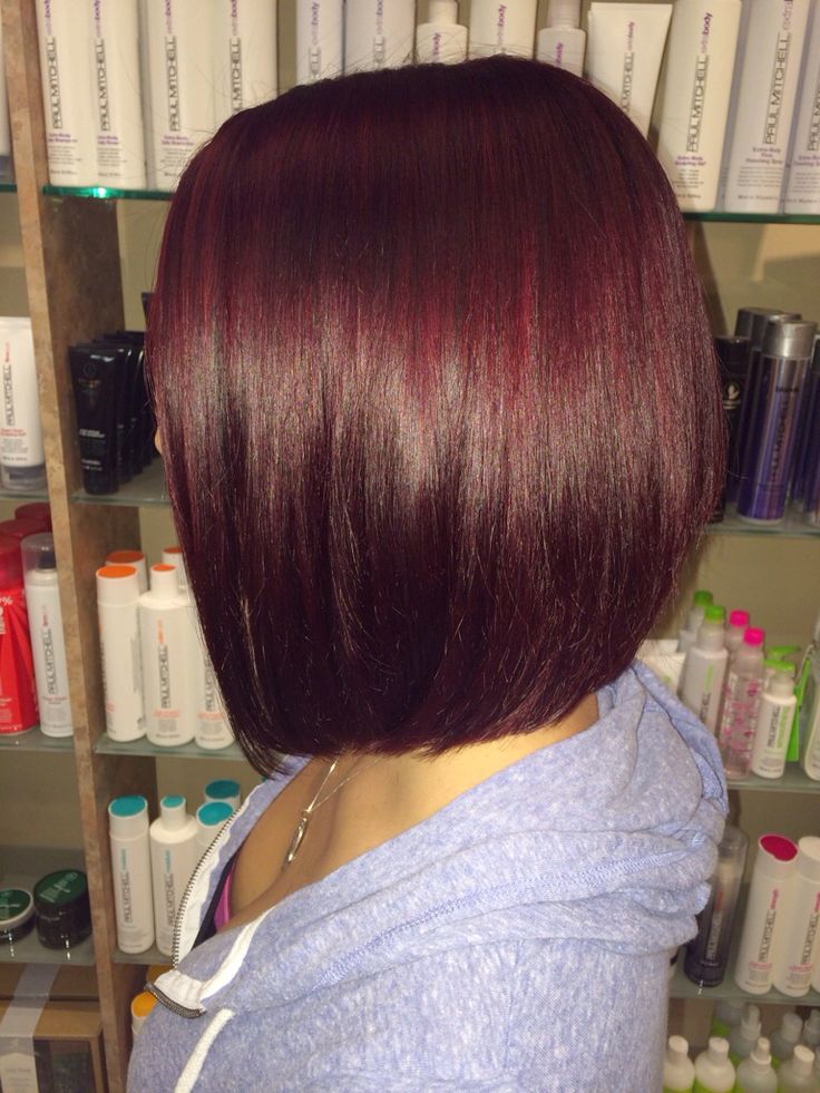 Merlot red Short Maroon Hair, Short Burgundy Hair Bob, Red Bobs, Cherry Red Bob, Maroon Short Hair, Dark Cherry Cola Hair, Dark Red Bob, Short Dark Red Hair, Dark Brown Bob