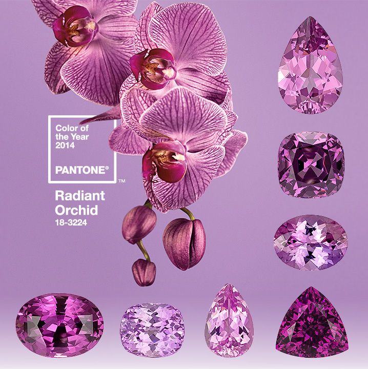 Radiant Orchid - 2014 Pantone Color of the Year   Offer your customers fashion-forward colors & keep current on color trends by exploring the beautiful variety of color gems available. Sapphire, Spinel, Kunzite, and other gems share Radiant Orchid's "radiant exuberence" of pink and purple tones & hues. Orchid Color, Pantone Color Of The Year, Radiant Orchid, Design Milk, Color Of The Year, Pantone Color, Shades Of Purple, Grafik Design, The Words