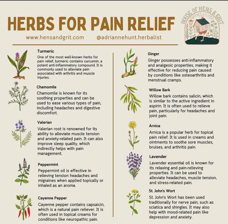 an image of herbs for pain relief