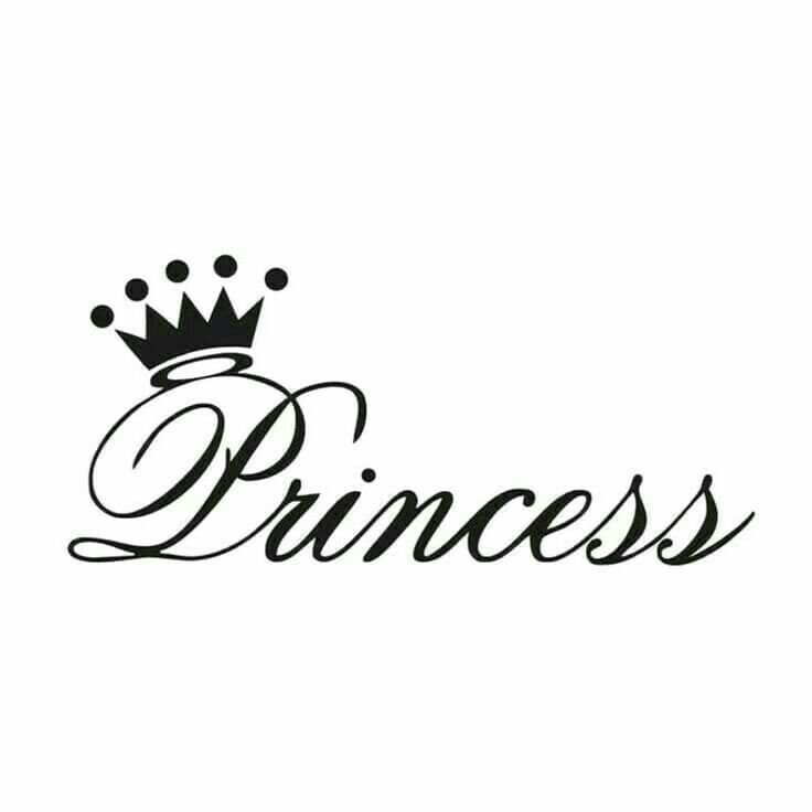 the word princess written in cursive writing with a crown on top of it