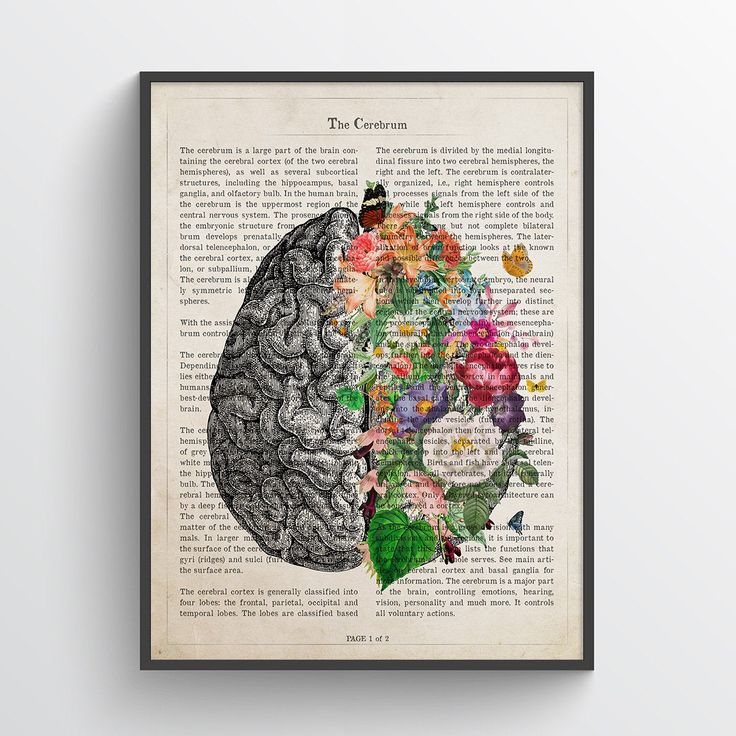 a book page with an image of a brain and flowers on it, in the shape of a human head