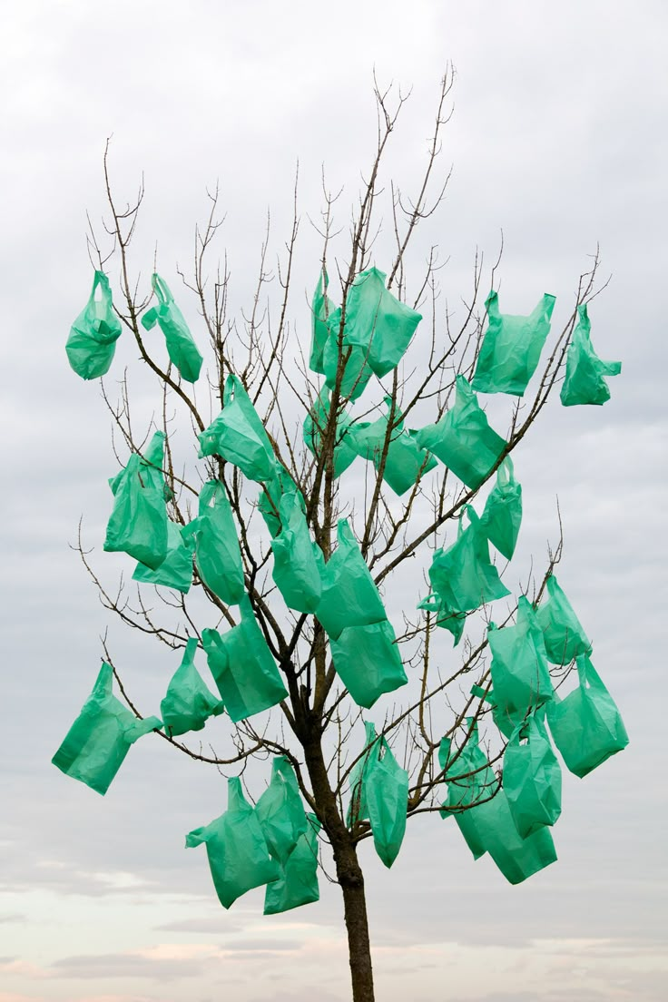 a tree with green bags stuck to it